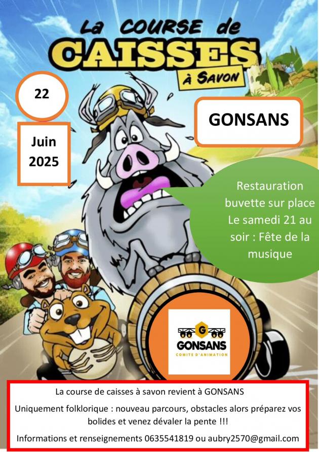 538885 Gonsans