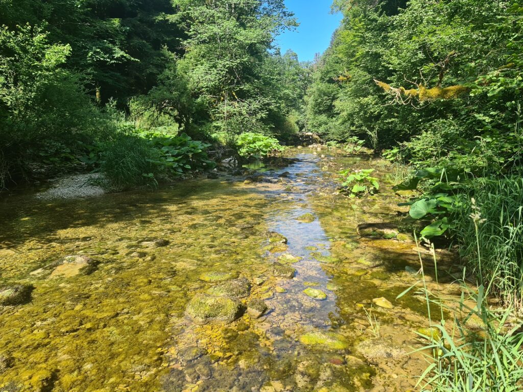Reverotte-2 epage doubs dessoubre